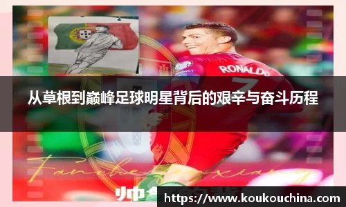 tyc9728太阳成集团官网